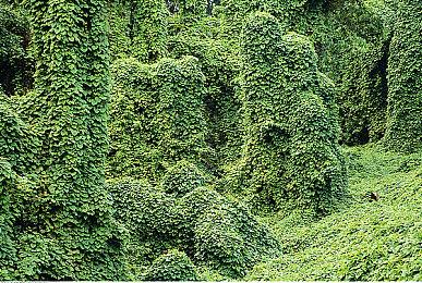 Steam新一周销量榜 《极限竞速：地平线5》登顶